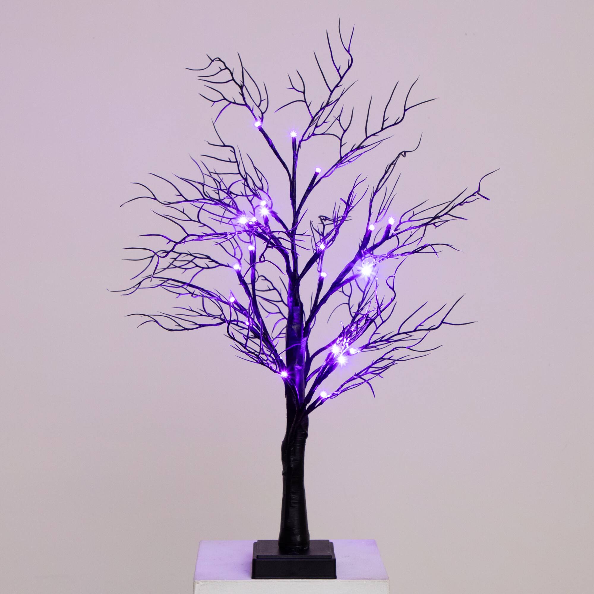 2ft. Pre-Lit LED Deluxe Black Twig Artificial Halloween Tree